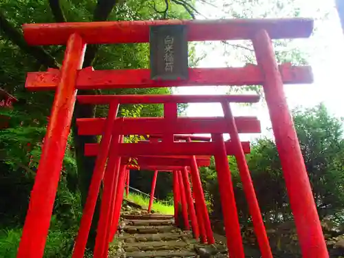 白光稲荷大明神の鳥居