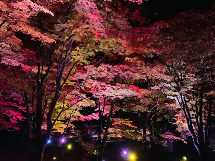 土津神社|こどもと出世の神さまの景色