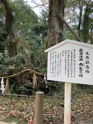 大山祇神社のその他建物