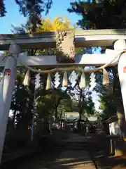 豊玉氷川神社の鳥居