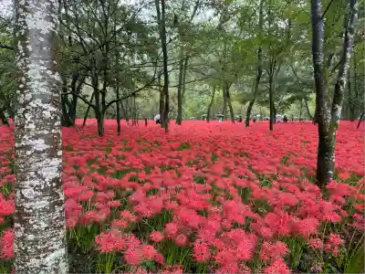 高麗神社(埼玉県)