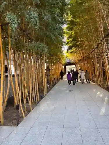 梅窓院(東京都)