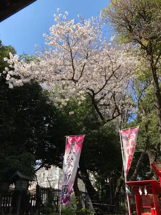 太子堂八幡神社の自然