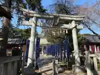 白岡八幡神社の{uncategorized: "未分類", other: "その他", undefined: "問題あり", building: "その他建物", grave: "お墓", sacred_gate: "鳥居", guardian: "狛犬", statue: "像", buddha: "仏像", history: "歴史", nature: "自然", garden: "庭園", animal: "動物", pagoda: "塔", temizu: "手水舎", mountain_gate: "山門・神門", sanctuary: "本殿・本堂", subordinate: "末社・摂社", art: "芸術", scenery: "景色", jizo: "地蔵", ema: "絵馬", goshuin: "御朱印", omikuji: "おみくじ", items: "授与品その他", amulet: "お守り", goshuincho: "御朱印帳", eats: "食事", festival: "お祭り", votive_dance: "神楽", shichigosan: "七五三参", wedding: "結婚式", experience: "体験その他", initially: "初詣", around: "周辺", anti_infection: "感染症対策"}