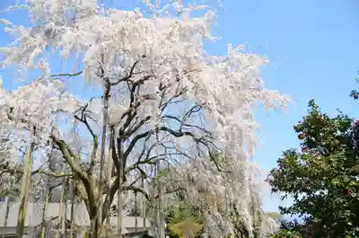 足羽神社(福井県)
