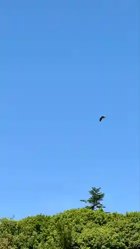 橿原神宮(奈良県)