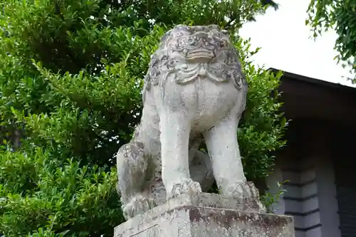 開成山大神宮の狛犬