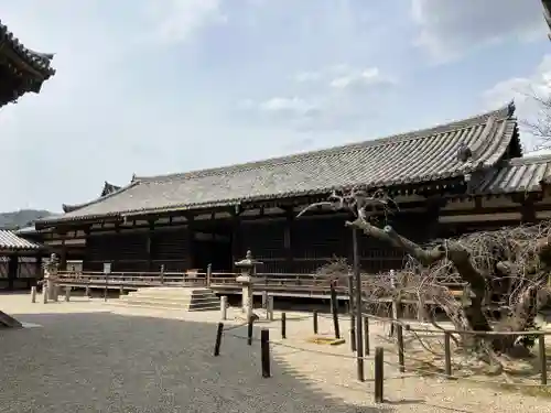 法隆寺(奈良県)