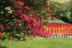 高屋敷稲荷神社の景色