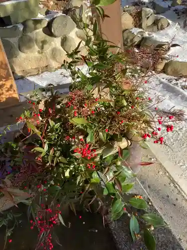 高司神社〜むすびの神の鎮まる社〜の手水