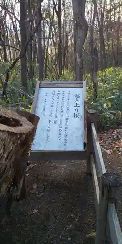 鷹栖神社の自然