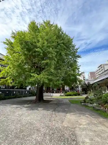 光永寺(長崎県)