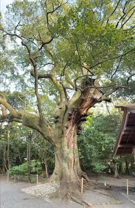 月夜見宮(豊受大神宮別宮)(三重県)