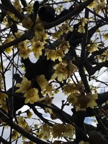 境香取神社の自然
