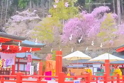 金櫻神社(山梨県)