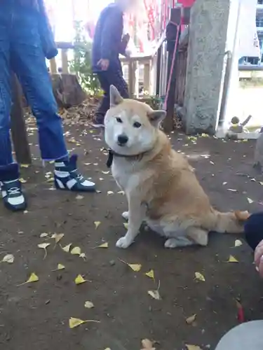 笠䅣稲荷神社(神奈川県)