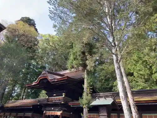 諏訪大社下社秋宮(長野県)