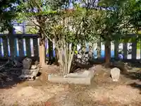 八幡神社の自然