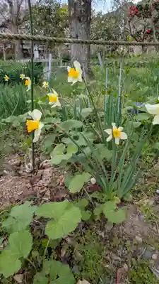 惠心院(京都府)