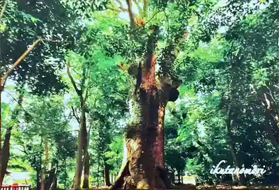 生田神社(兵庫県)