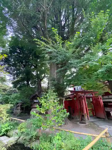 秩父神社の自然