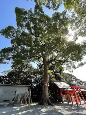 天疫神社の自然