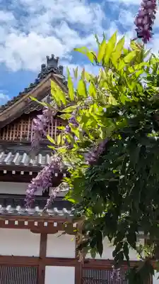 大松禅寺(京都府)