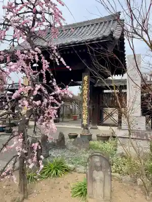 遍照院(埼玉県)