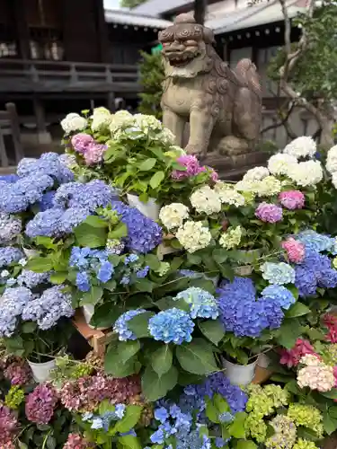 白山神社(東京都)