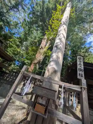 諏訪大社下社秋宮(長野県)