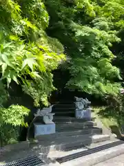 永源寺の狛犬