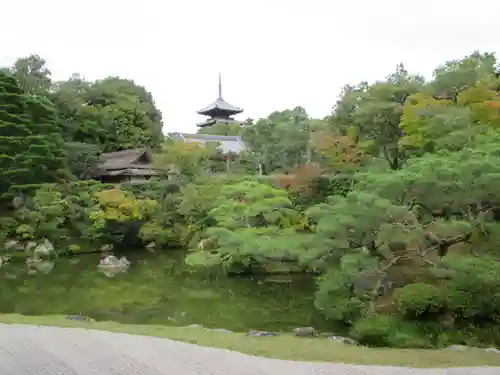 仁和寺の庭園