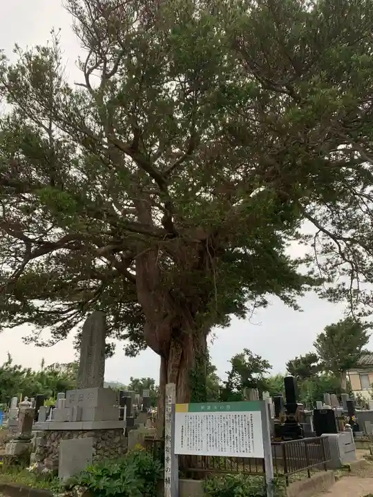 釈迦寺のその他建物