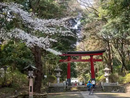 大宮八幡宮の{uncategorized: "未分類", other: "その他", undefined: "問題あり", building: "その他建物", grave: "お墓", sacred_gate: "鳥居", guardian: "狛犬", statue: "像", buddha: "仏像", history: "歴史", nature: "自然", garden: "庭園", animal: "動物", pagoda: "塔", temizu: "手水舎", mountain_gate: "山門・神門", sanctuary: "本殿・本堂", subordinate: "末社・摂社", art: "芸術", scenery: "景色", jizo: "地蔵", ema: "絵馬", goshuin: "御朱印", omikuji: "おみくじ", items: "授与品その他", amulet: "お守り", goshuincho: "御朱印帳", eats: "食事", festival: "お祭り", votive_dance: "神楽", shichigosan: "七五三参", wedding: "結婚式", experience: "体験その他", initially: "初詣", around: "周辺", anti_infection: "感染症対策"}