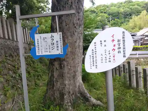 新宮神社(福井県)