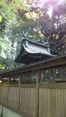 種殿神社の本殿・本堂