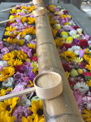 群馬県護国神社(群馬県)