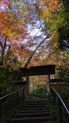 常照寺(京都府)