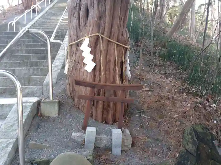 千歳神社の鳥居