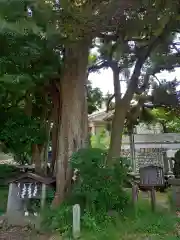 菅原神社(神奈川県)