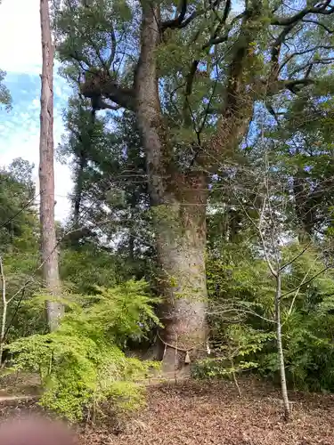 土佐神社(高知県)
