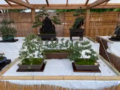 本願寺（西本願寺）(京都府)