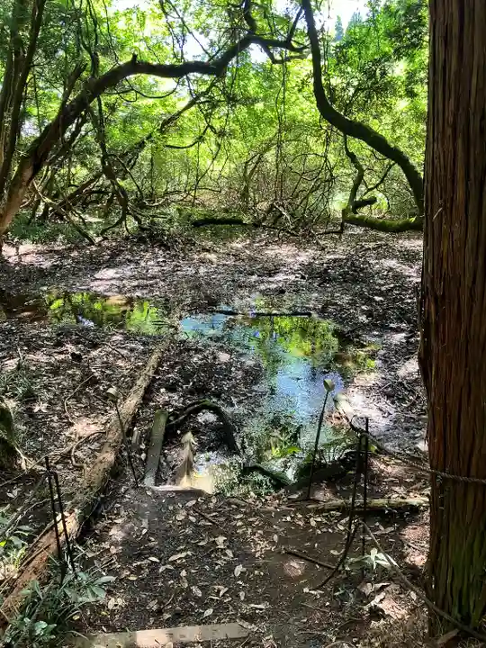 丸池神社(山形県)