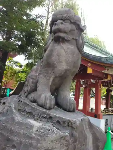 浅草神社の狛犬