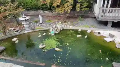 六孫王神社(京都府)
