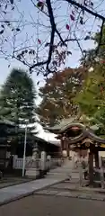 蒲原神社の本殿