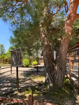 座光如来寺（元善光寺）(長野県)