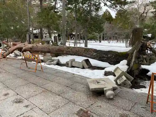 長浜八幡宮の建物その他