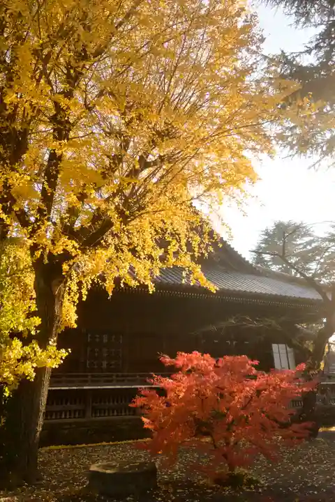寛永寺(根本中堂)(東京都)