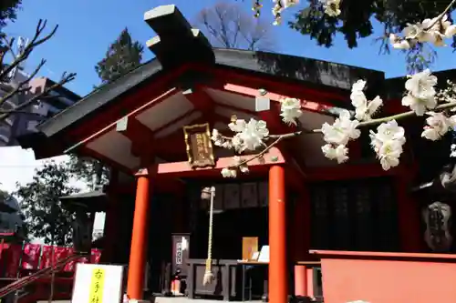 くまくま神社(導きの社 熊野町熊野神社)の本殿・本堂